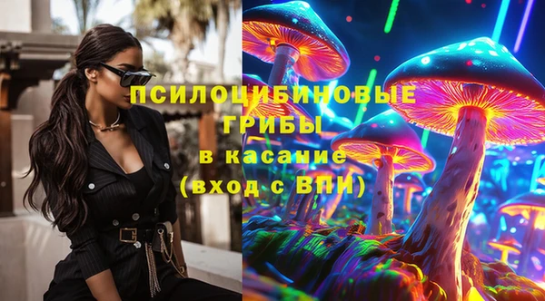 экстази Арсеньев