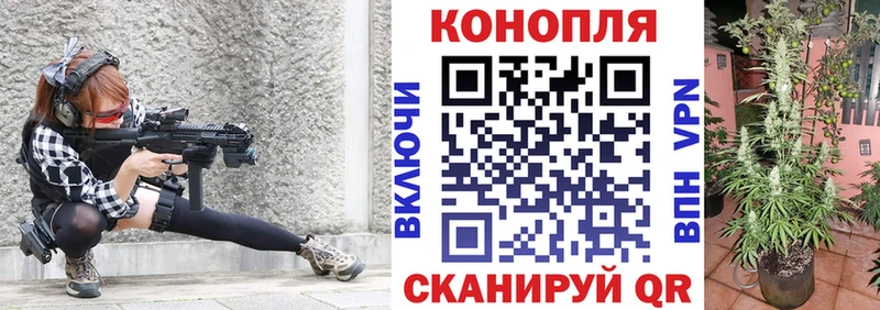 как найти закладки  Соликамск  Шишки марихуана AK-47 